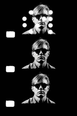 Andy Warhol : Portrait of the Artist as A Young Man