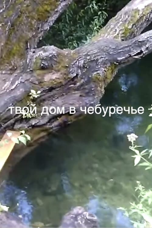 your house in the Cheburechie