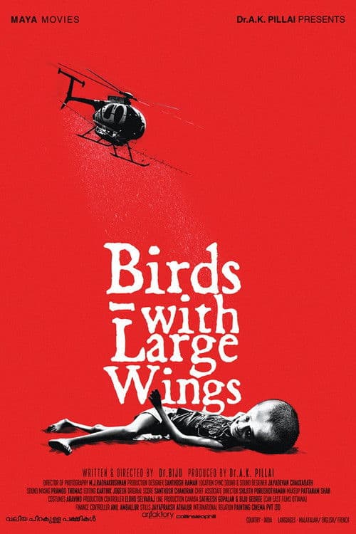 Valiya Chirakulla Pakshikal