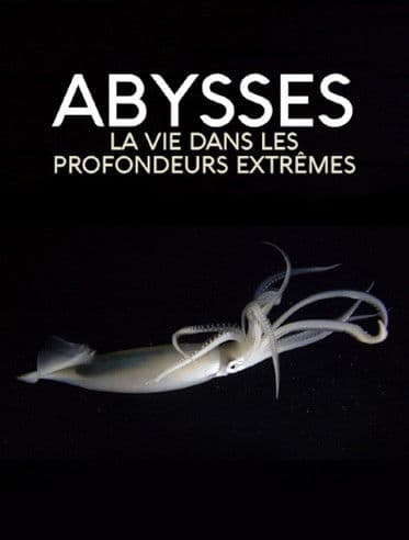 Extreme der Tiefsee - Abysses