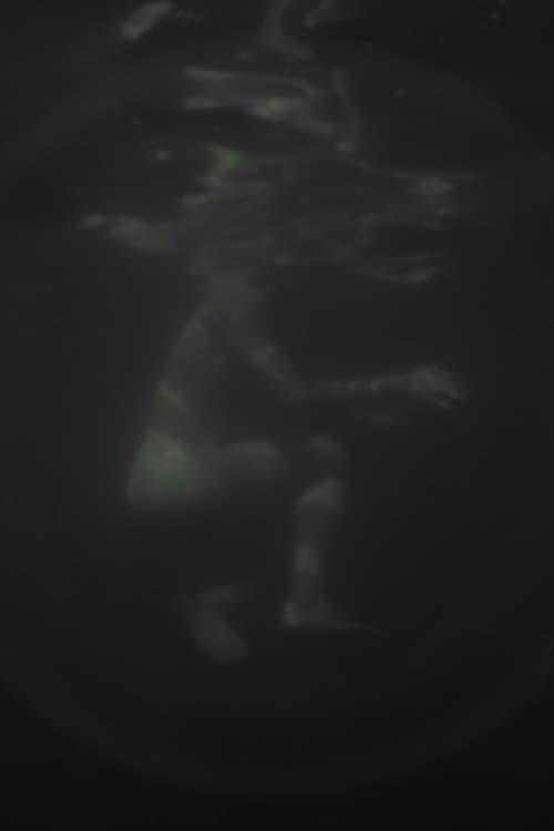 Hazug disznók az álmok is